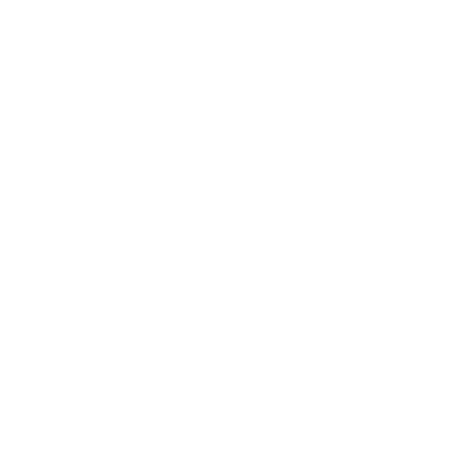 Sports Bags Icon