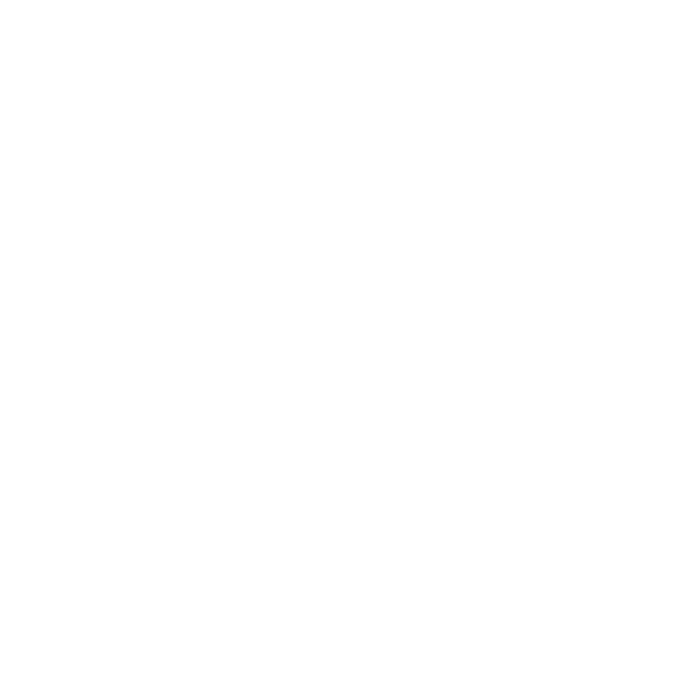 Inflatable Balls Icon